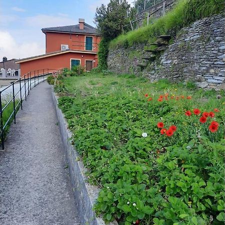 Villa La Finestra Sul Golfo - Citra 010018-Lt-0033 - Cogorno Esterno foto