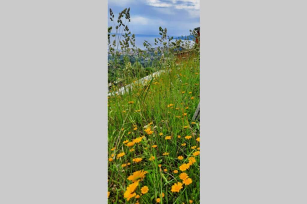 Villa La Finestra Sul Golfo - Citra 010018-Lt-0033 - Cogorno Esterno foto